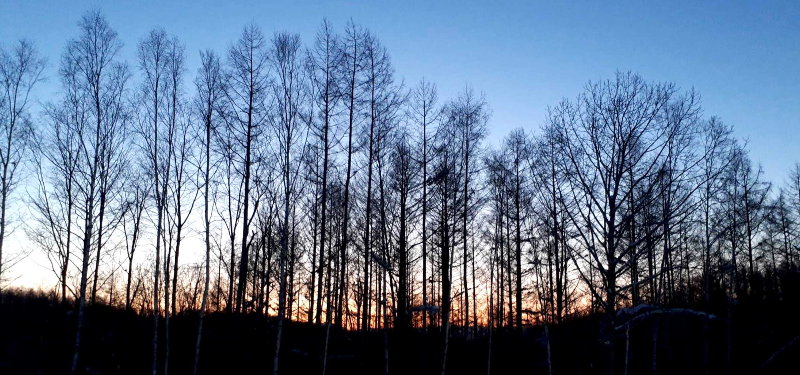 施設のご利用ガイド