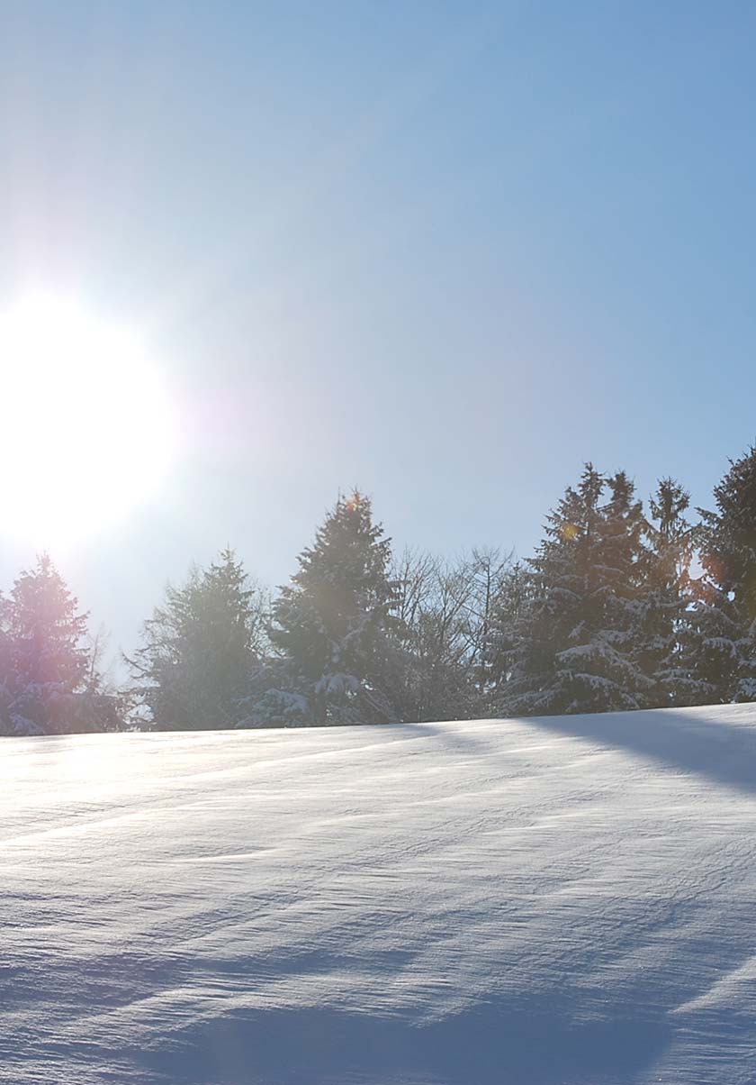 ニングルフォーレ周辺の景色